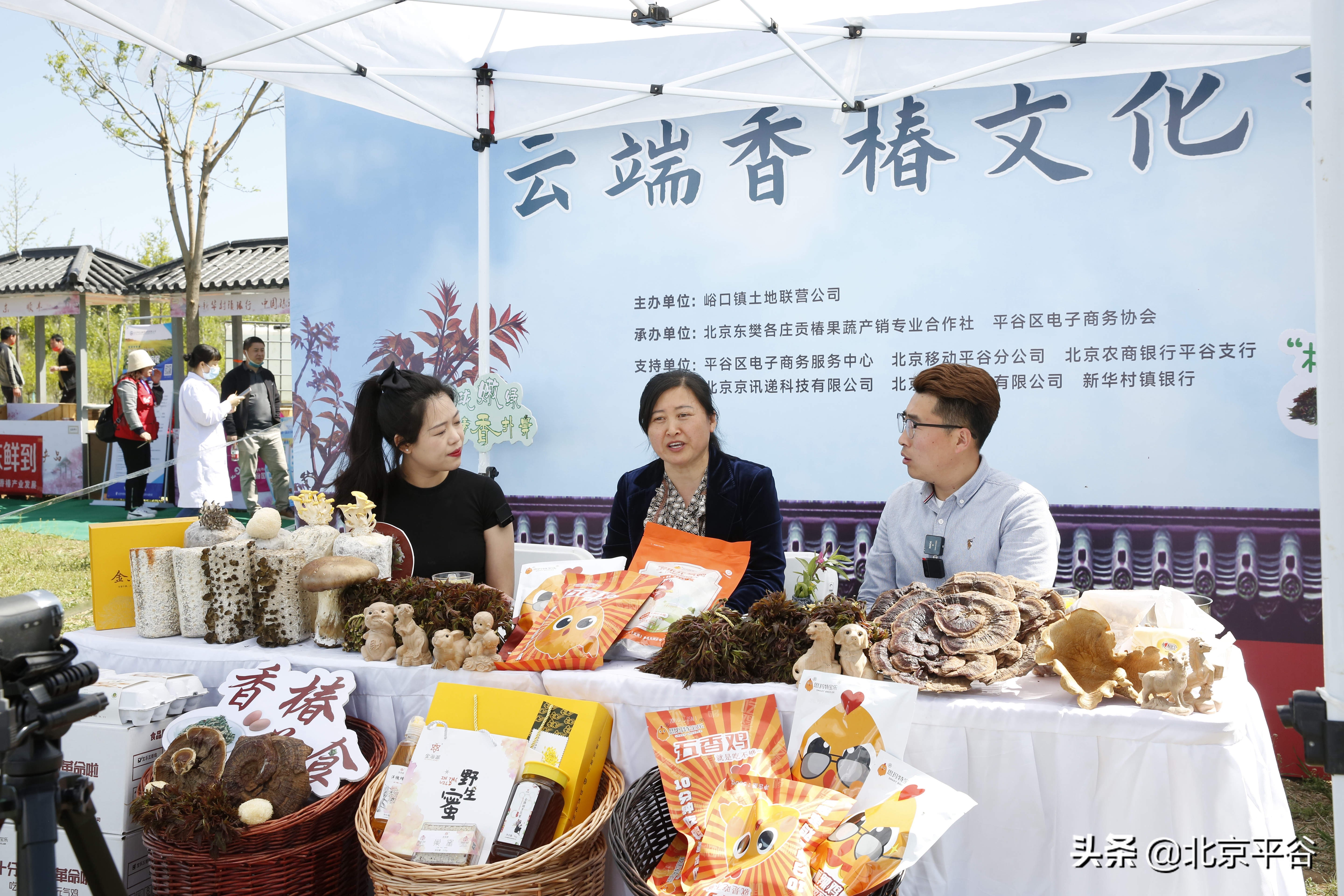 平谷香椿文化节线上举办