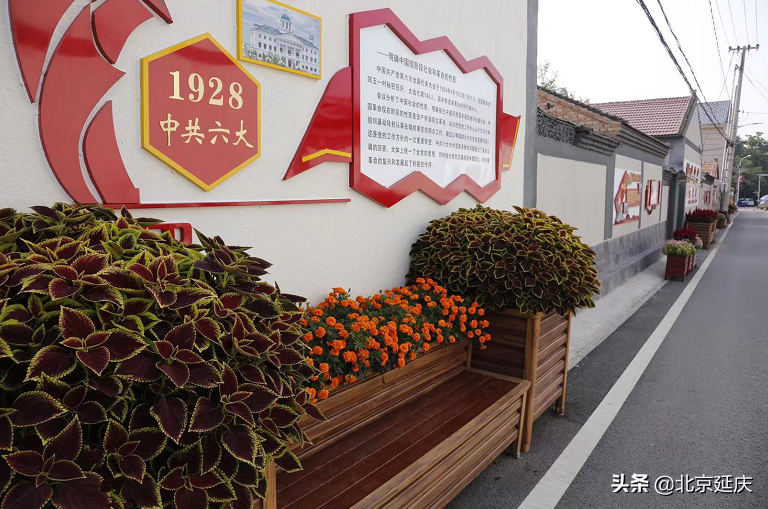 马路宽敞了、文化广场多了、冰雪课程火了......延庆冬奥小镇变了样儿~