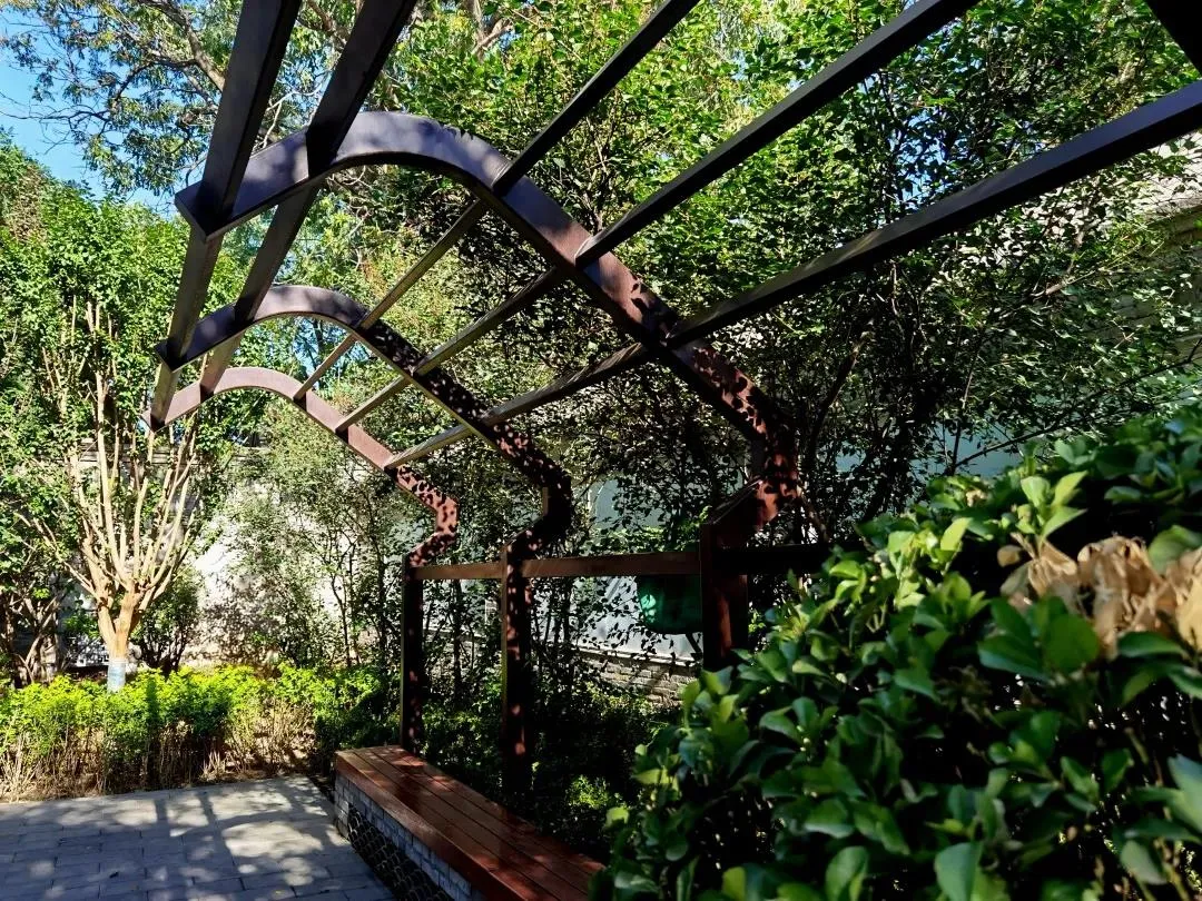 平安大街：绿荫映京韵