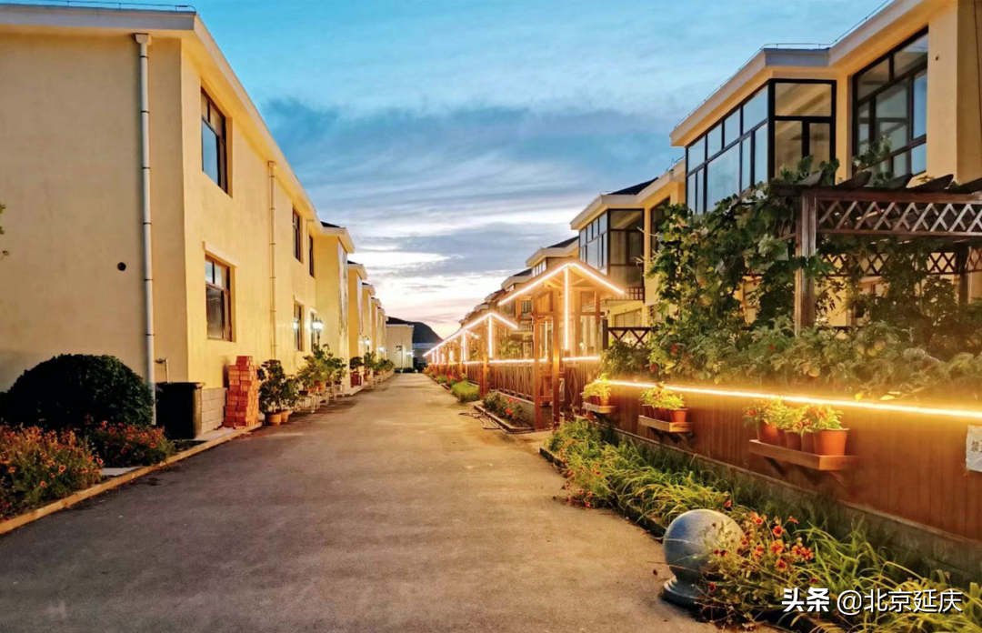 感受浪漫园艺生活 延庆里炮园艺小镇秋日盛景正当时~