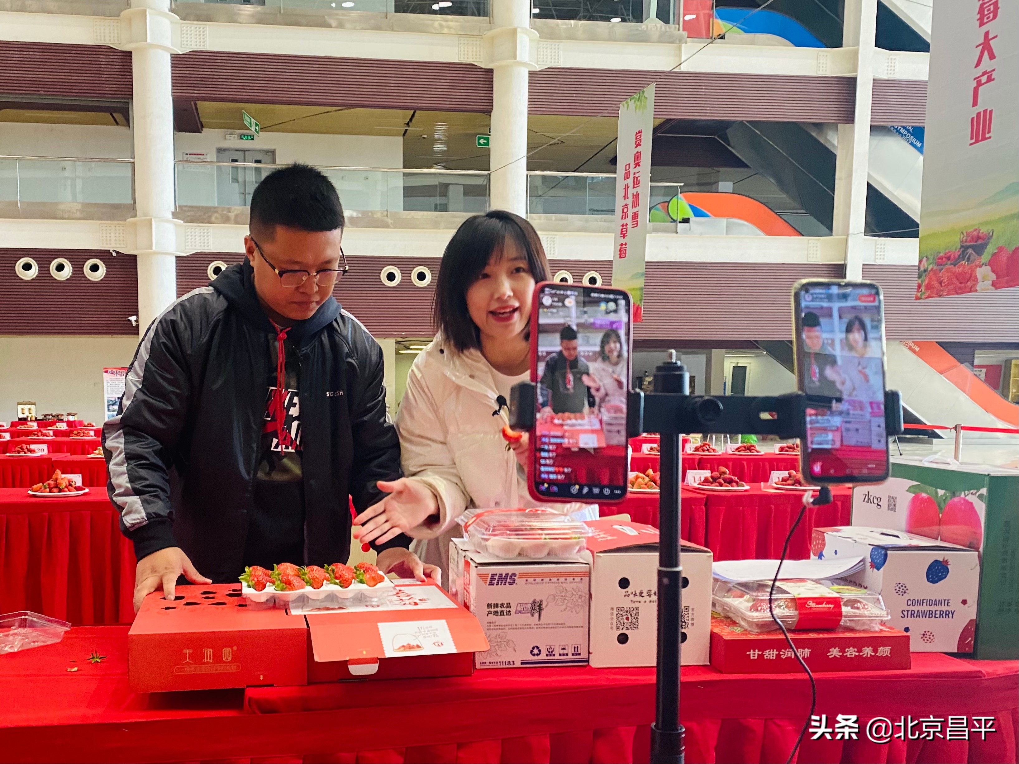 助农直播“邮”我！今儿，昌平草莓是直播间的“爆款”
