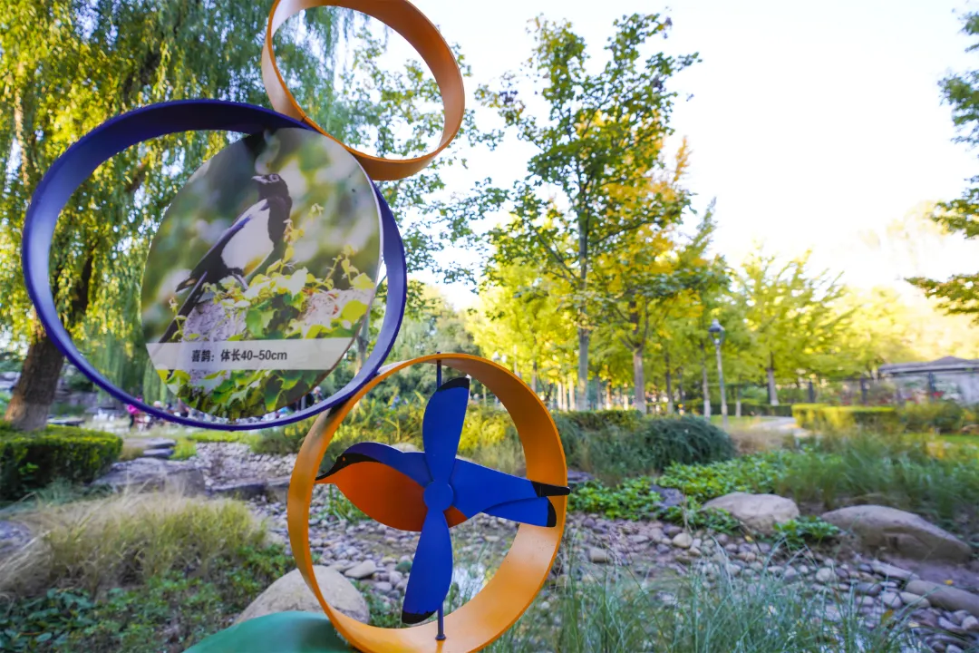 多图实拍！地坛园外园重装开园，打造全龄友好社区公园