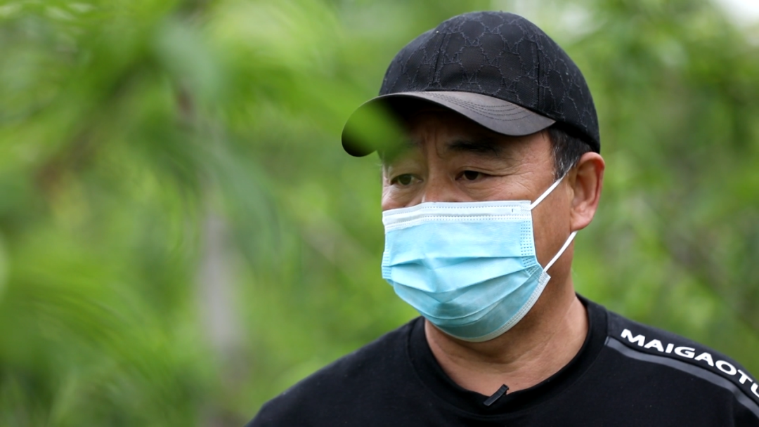 乡村振兴靠什么？他的法宝是……