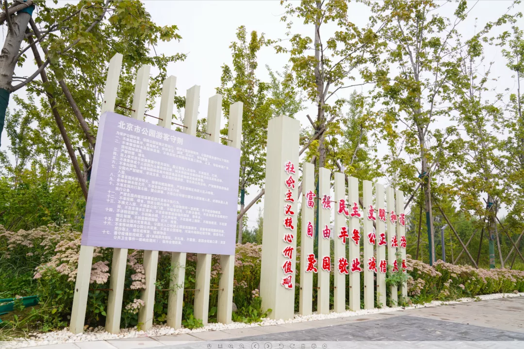 就在明天！衙门口城市森林公园正式开园！又多一个好去处~