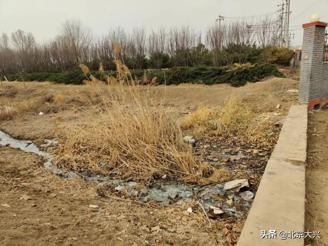 杂草荒地“变身”生态湿地，大兴这里焕然一新——