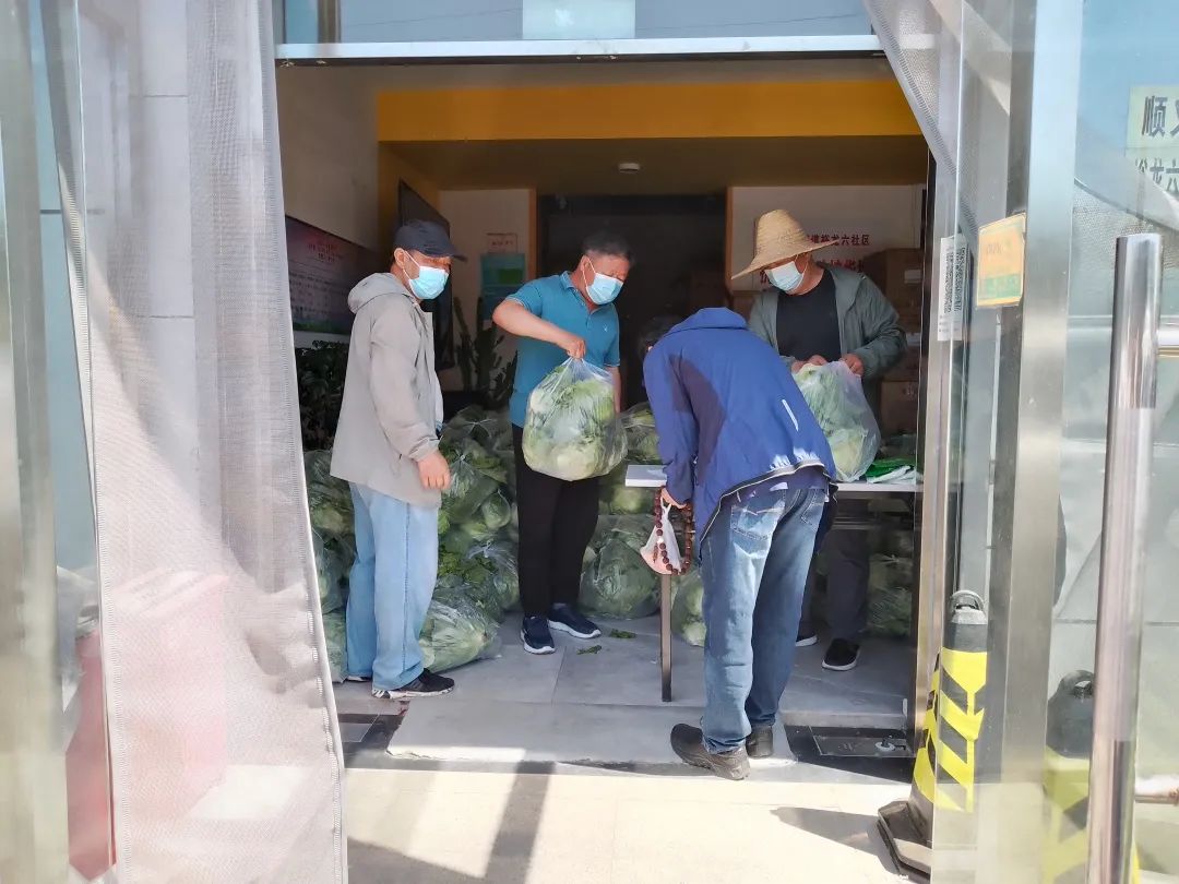 一车家“蔬”抵万金！3500多颗居民自种生菜免费送到社区