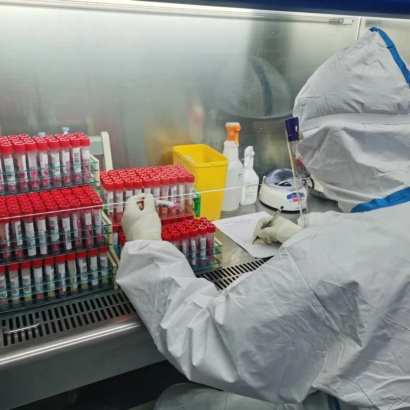 一袭白衣作铠甲 疫中护士写忠诚