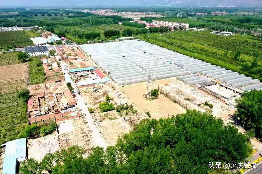 延庆区延庆镇高质量拆违 助力全区基本无违建区创建