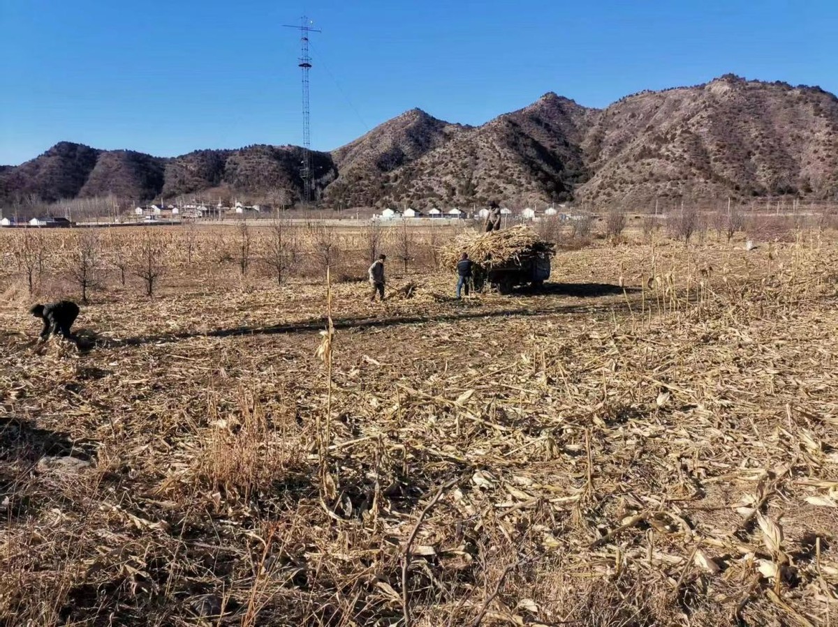 密云区新城子镇土地复耕变良田 助力乡村新发展