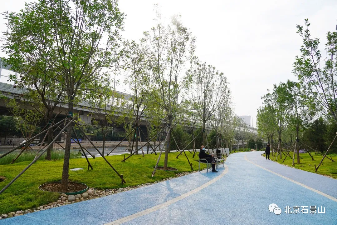 开窗见景、出门见绿！阜石路沿线绿化景观精美亮相！