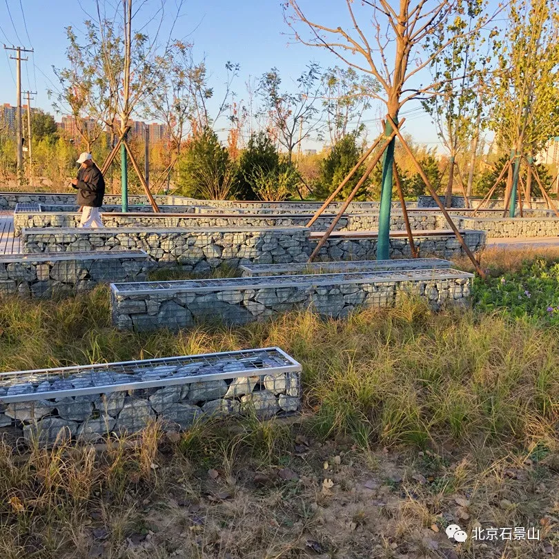 衙门口城市森林公园：京西最大规模的留白增绿片区