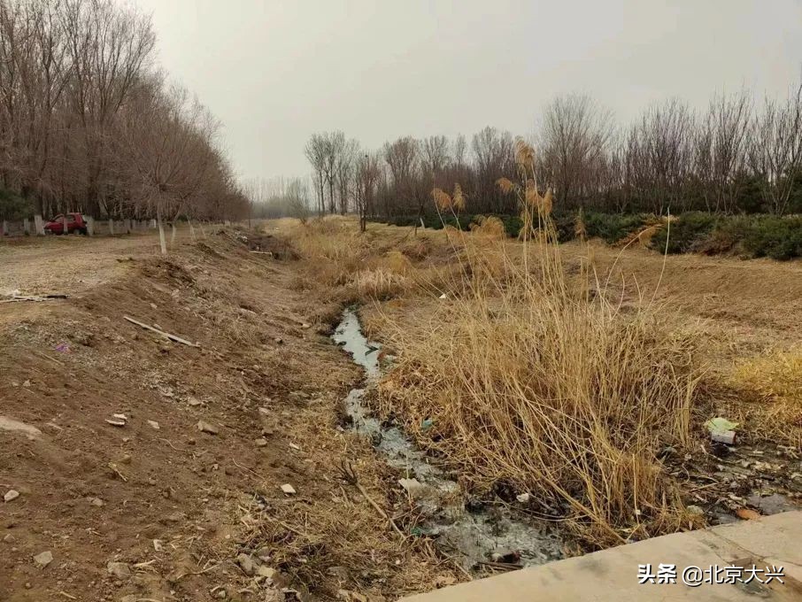 杂草荒地“变身”生态湿地，大兴这里焕然一新——