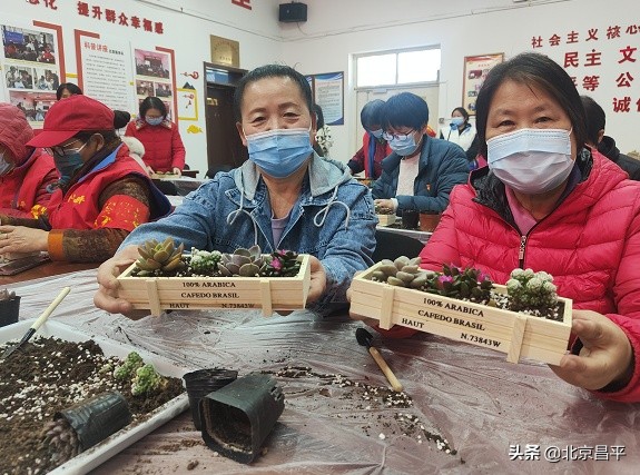 喜迎“三八”国际妇女节，昌平开展多彩主题活动