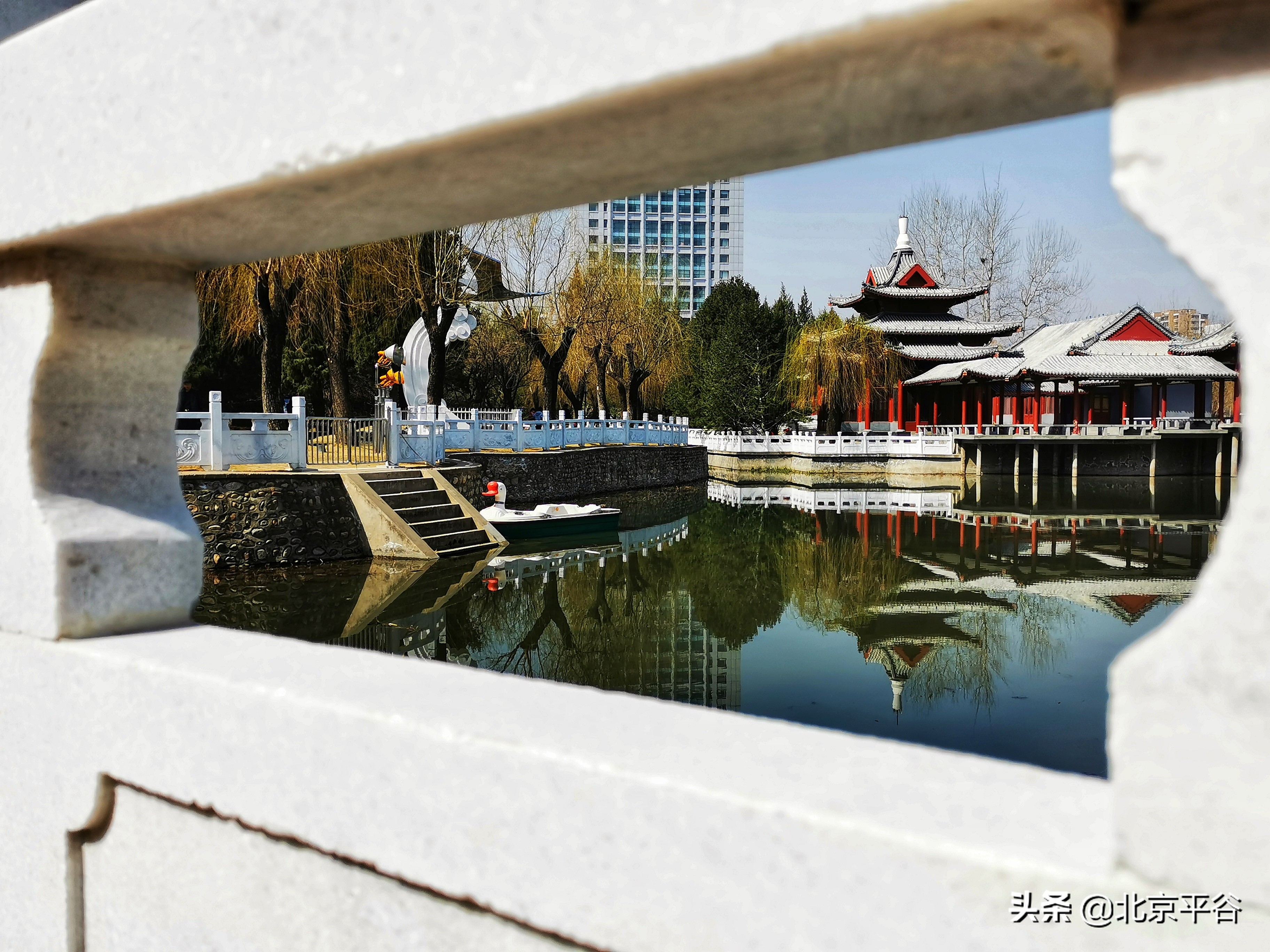 口罩遮住你的脸，却遮不住寻找平谷春天的眼