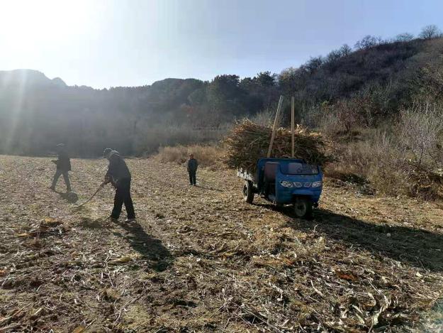 密云区新城子镇全力做好护林防火工作