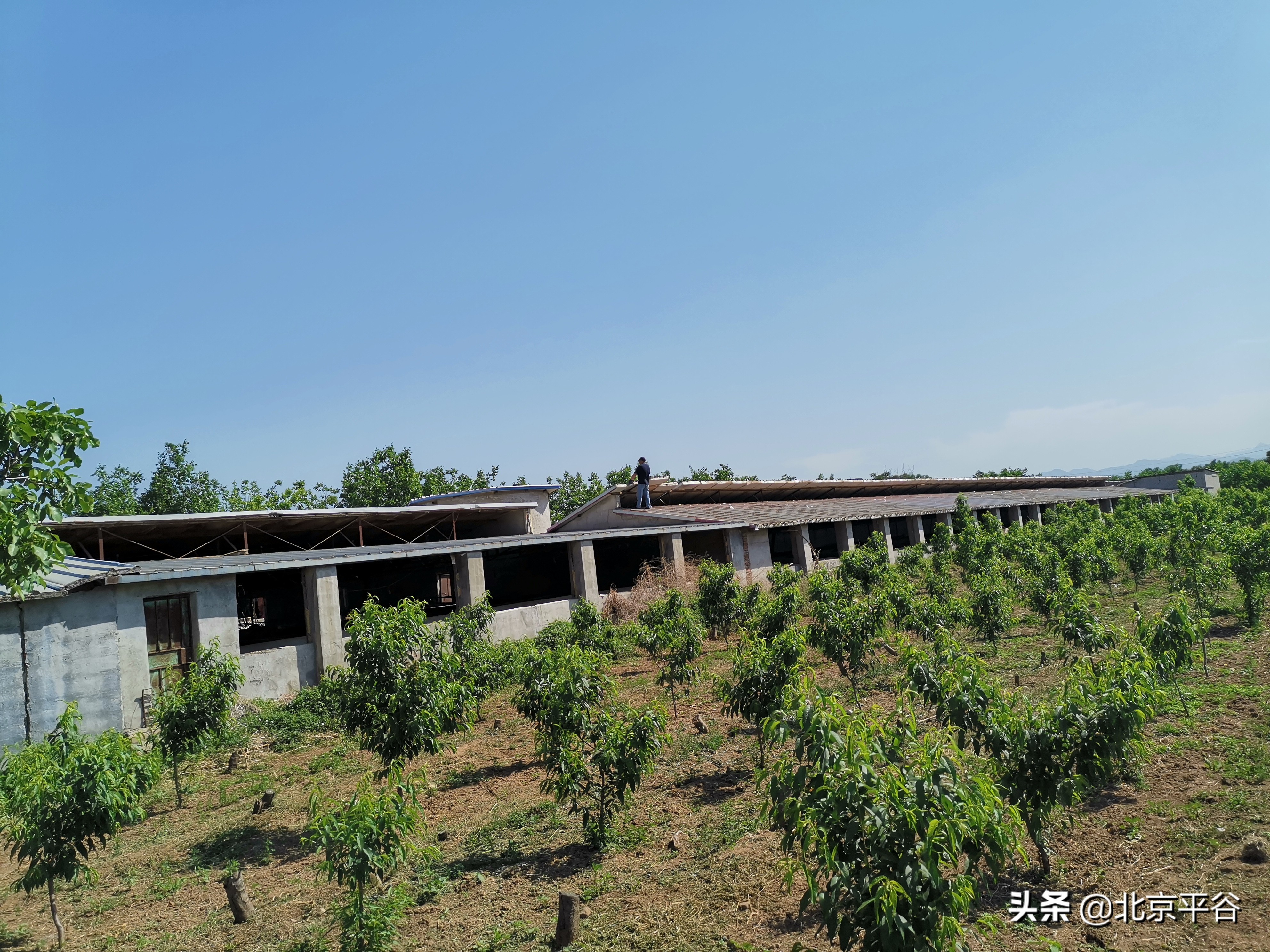 平谷金海湖镇：疫情防控复工复产两手抓 促进经济建设和社会发展