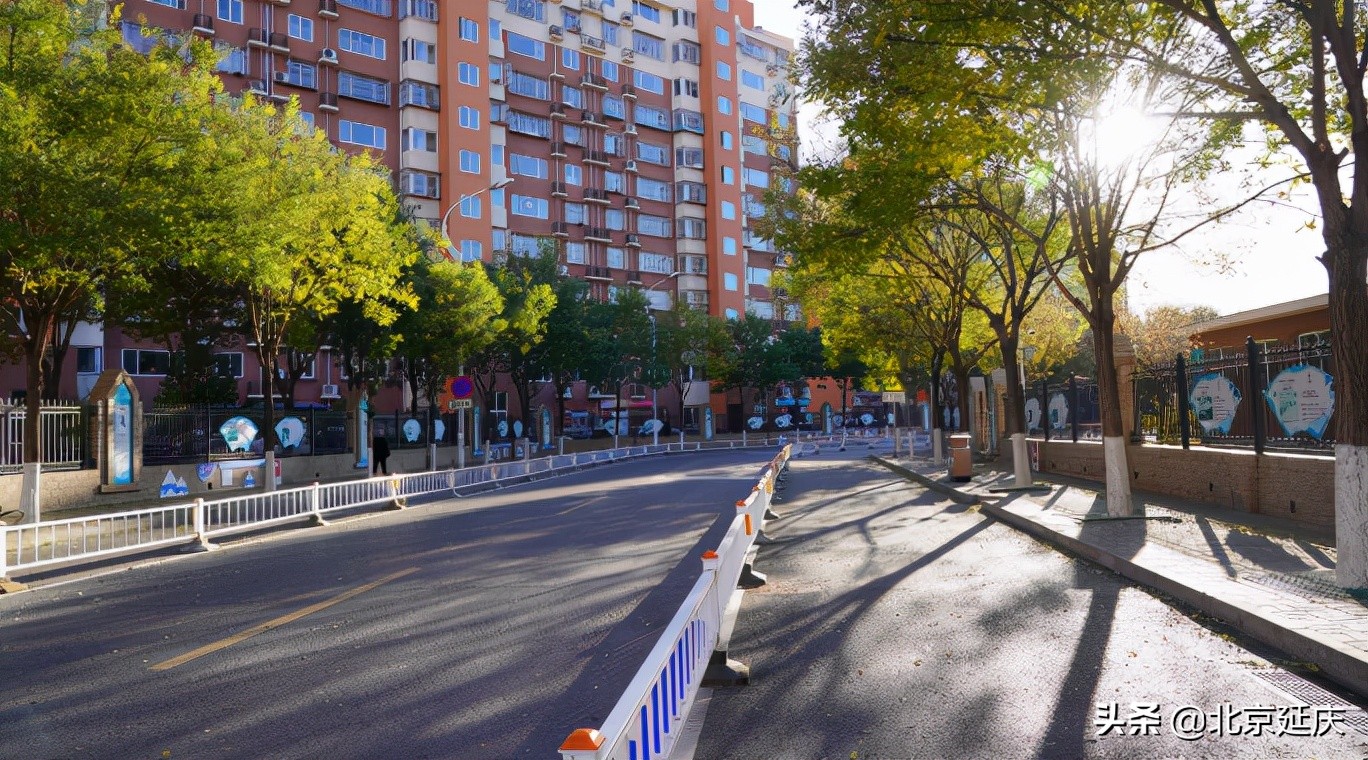 我为群众办实事｜延庆区110条街巷全方位整治提升 打造舒心人居环境