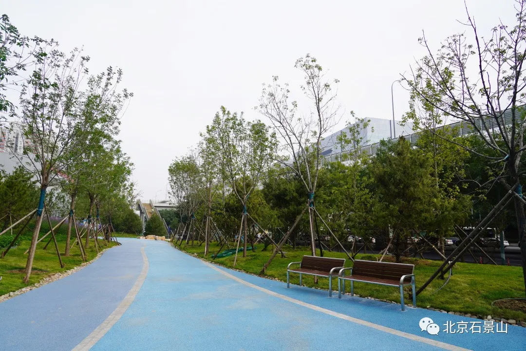 开窗见景、出门见绿！阜石路沿线绿化景观精美亮相！