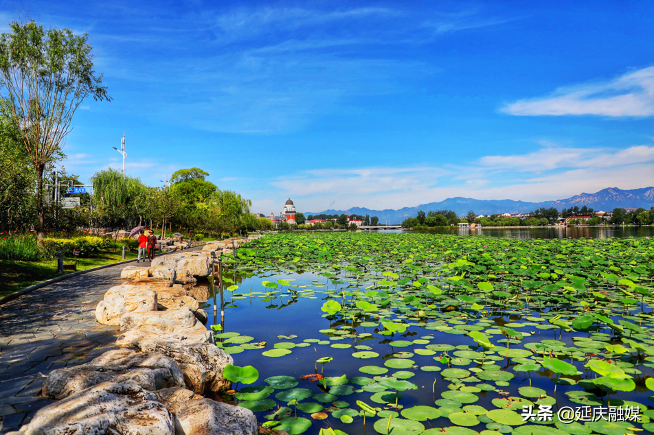 抬头看天！延庆这波蓝天白云有木有美到你！