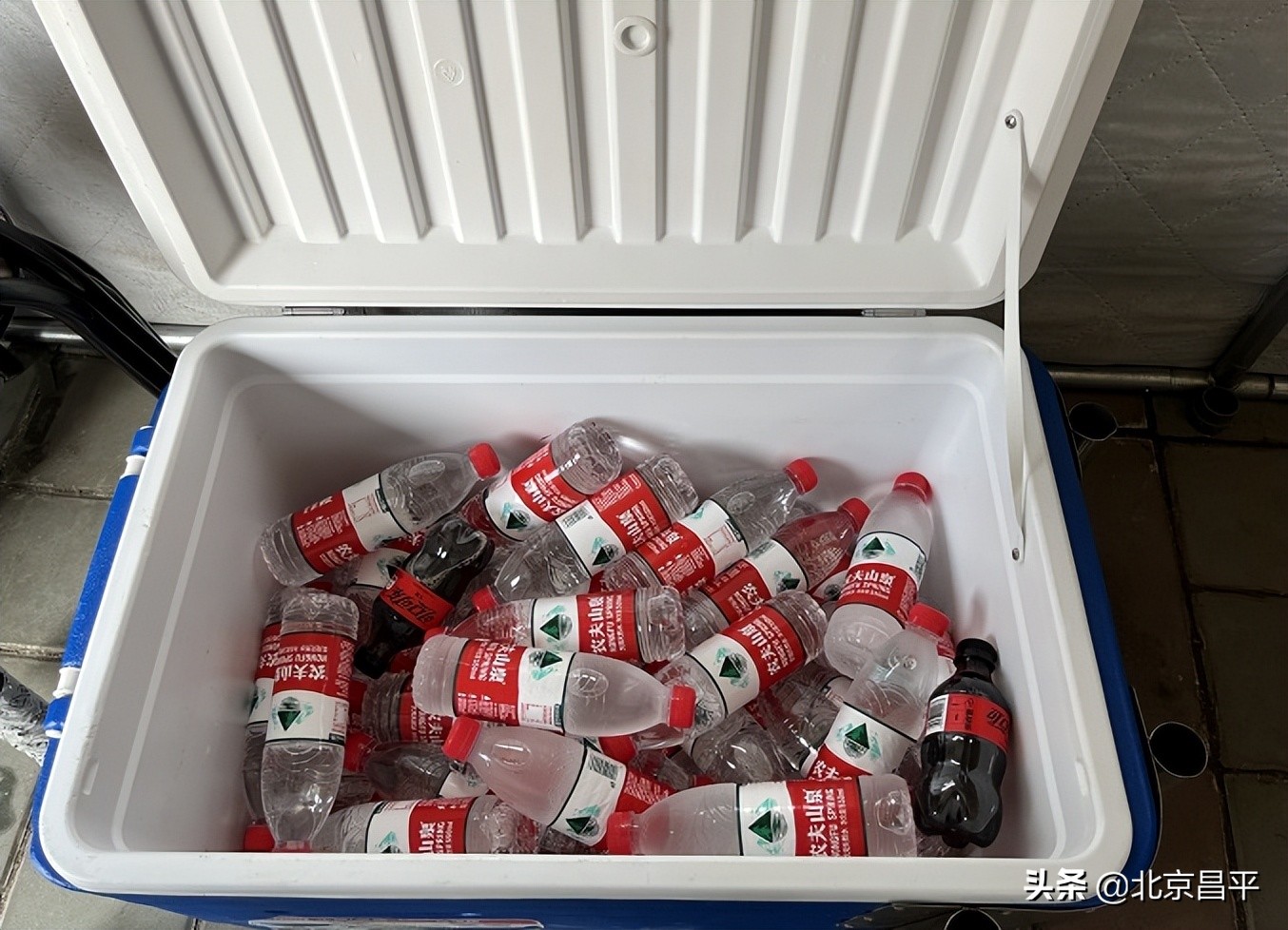 炎炎夏日，如何给“大白”降温？昌平北七家镇白庙村有妙招儿