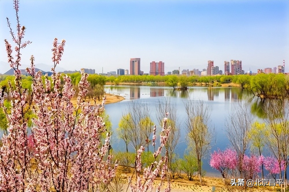 昌平新城东区城市设计方案国际征集项目专家评审会召开