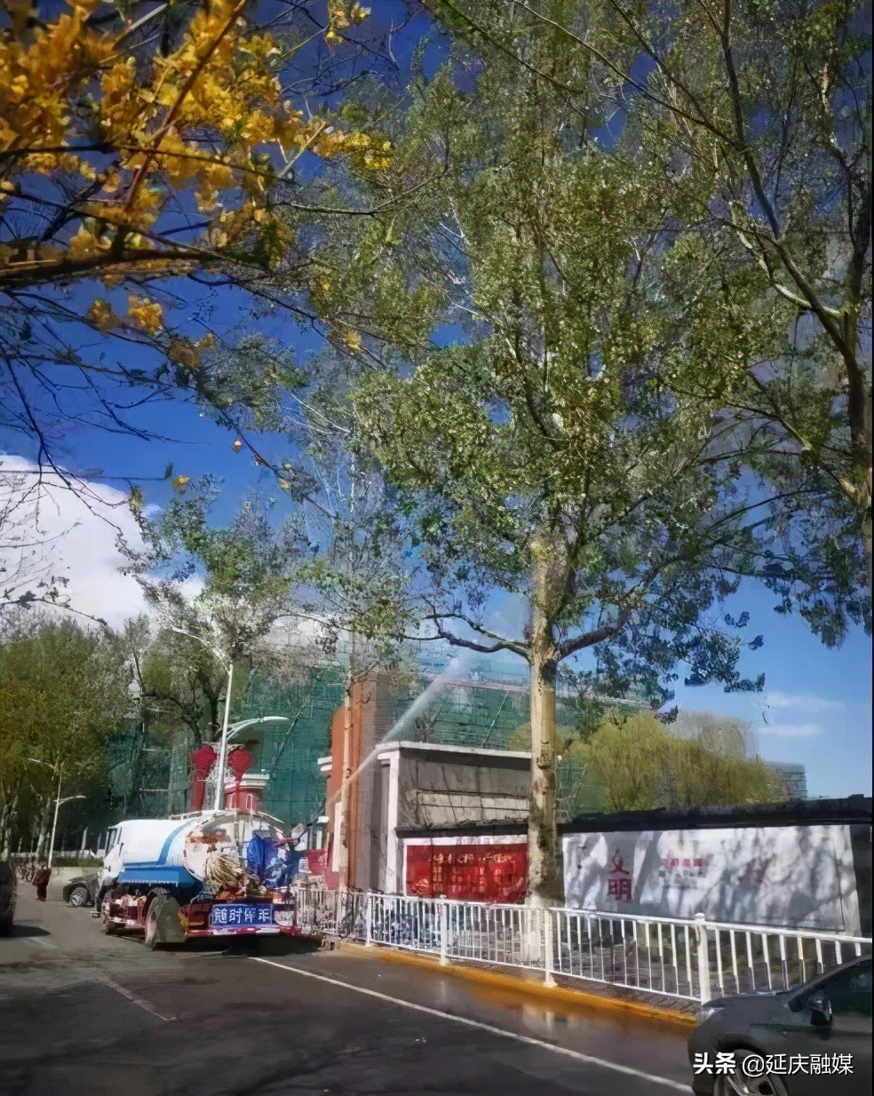 延庆区园林绿化局多措并举积极开展飞絮治理工作