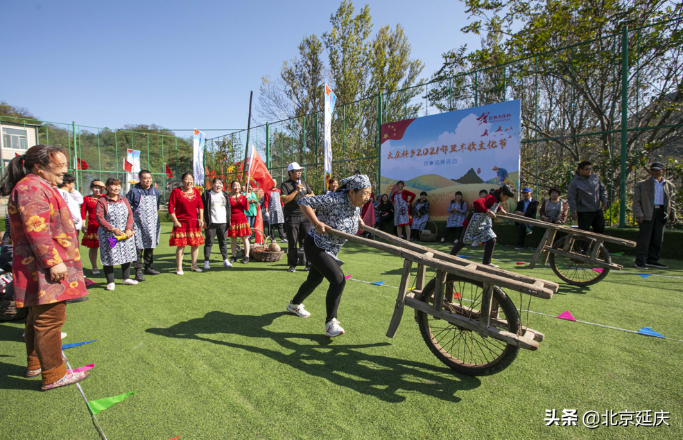 延庆大庄科乡瓜果飘香庆丰收 产业兴旺推动特色文旅高质量发展