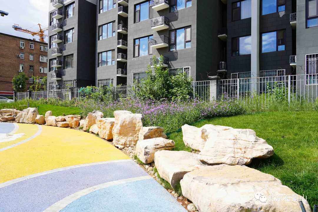 开窗见景、出门见绿！阜石路沿线绿化景观精美亮相！