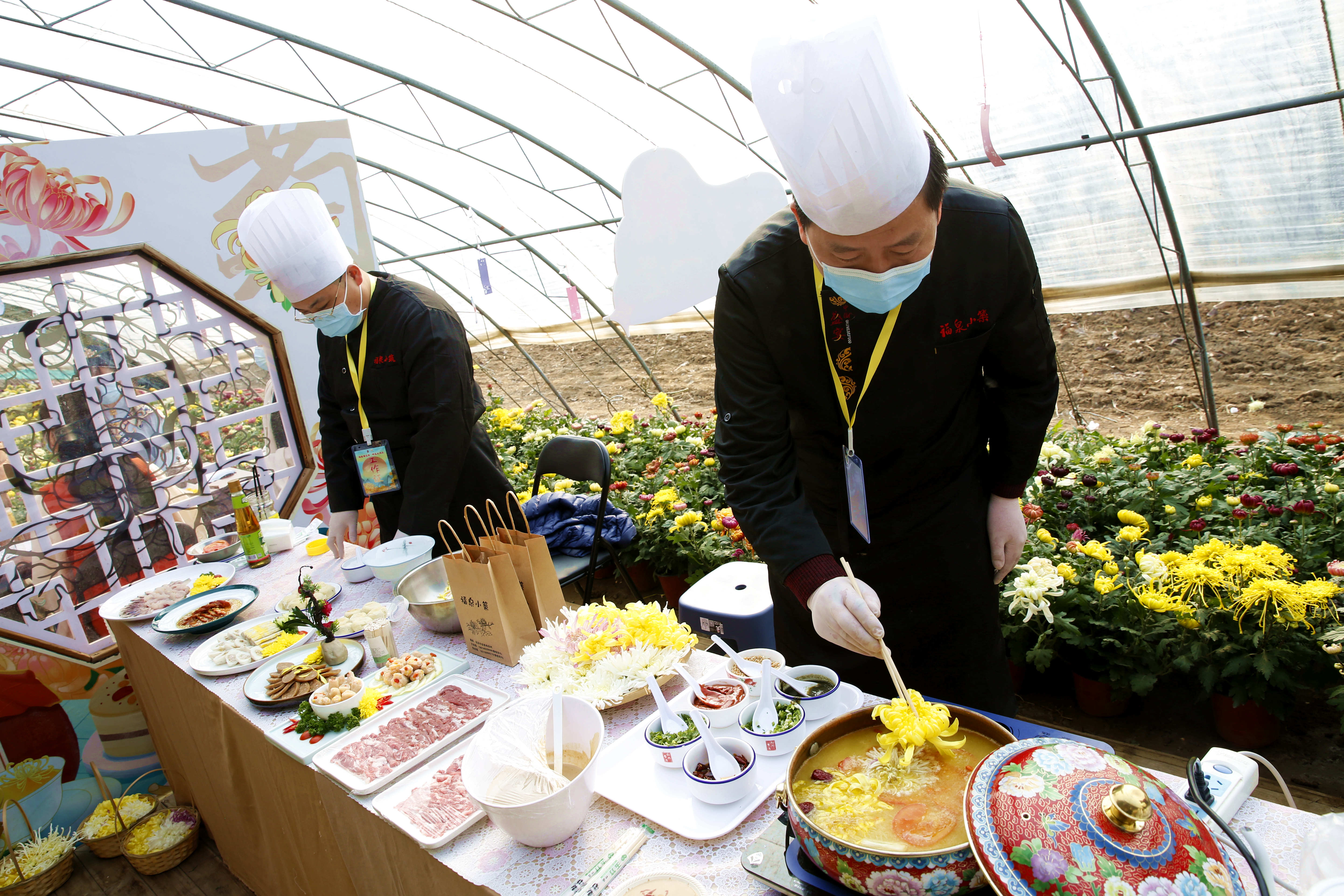 平谷区大兴庄镇迎来菊花季 300余亩食用菊花陆续上市