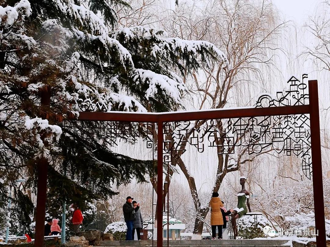 闻老街坊心声 ｜这五年，我的家乡发生了这些变化