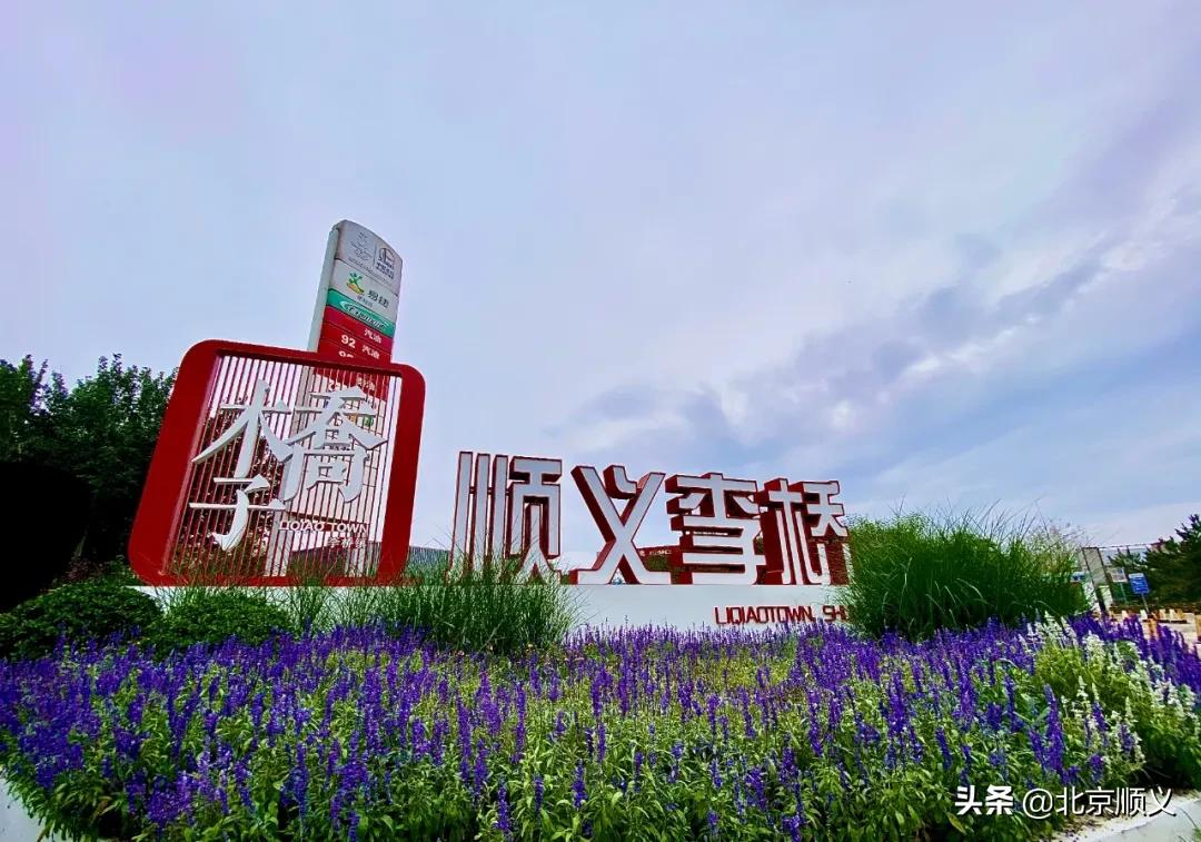 【创城有我】通顺路李桥段展现高颜值！