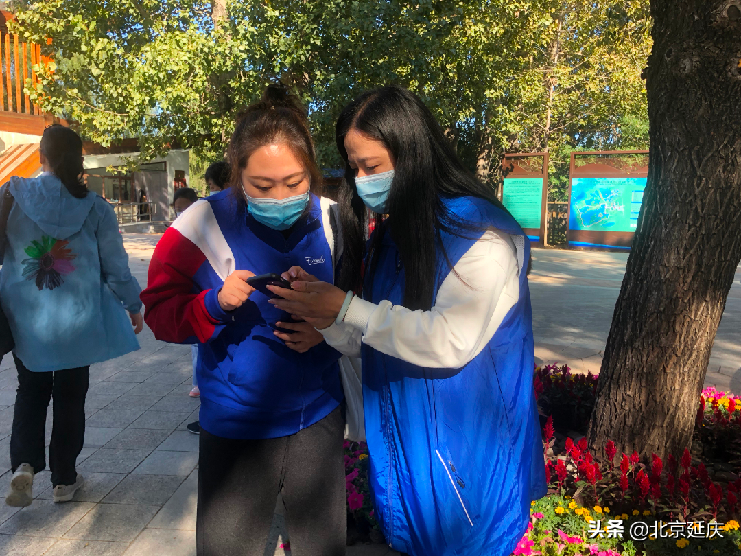 生态之美尽显眼前 国庆假期延庆野鸭湖旅游秩序井然