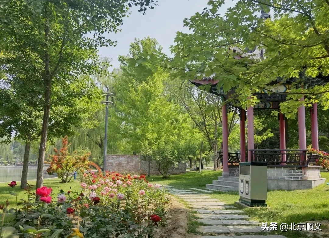 【创城有我】创城画卷，城优景美~