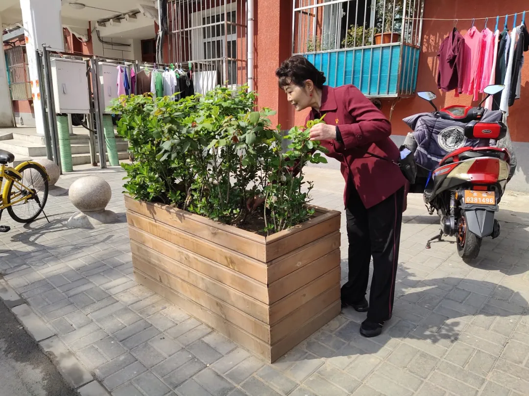 幸福东城 | “元老级”参与者两年坚持扮靓美丽街巷