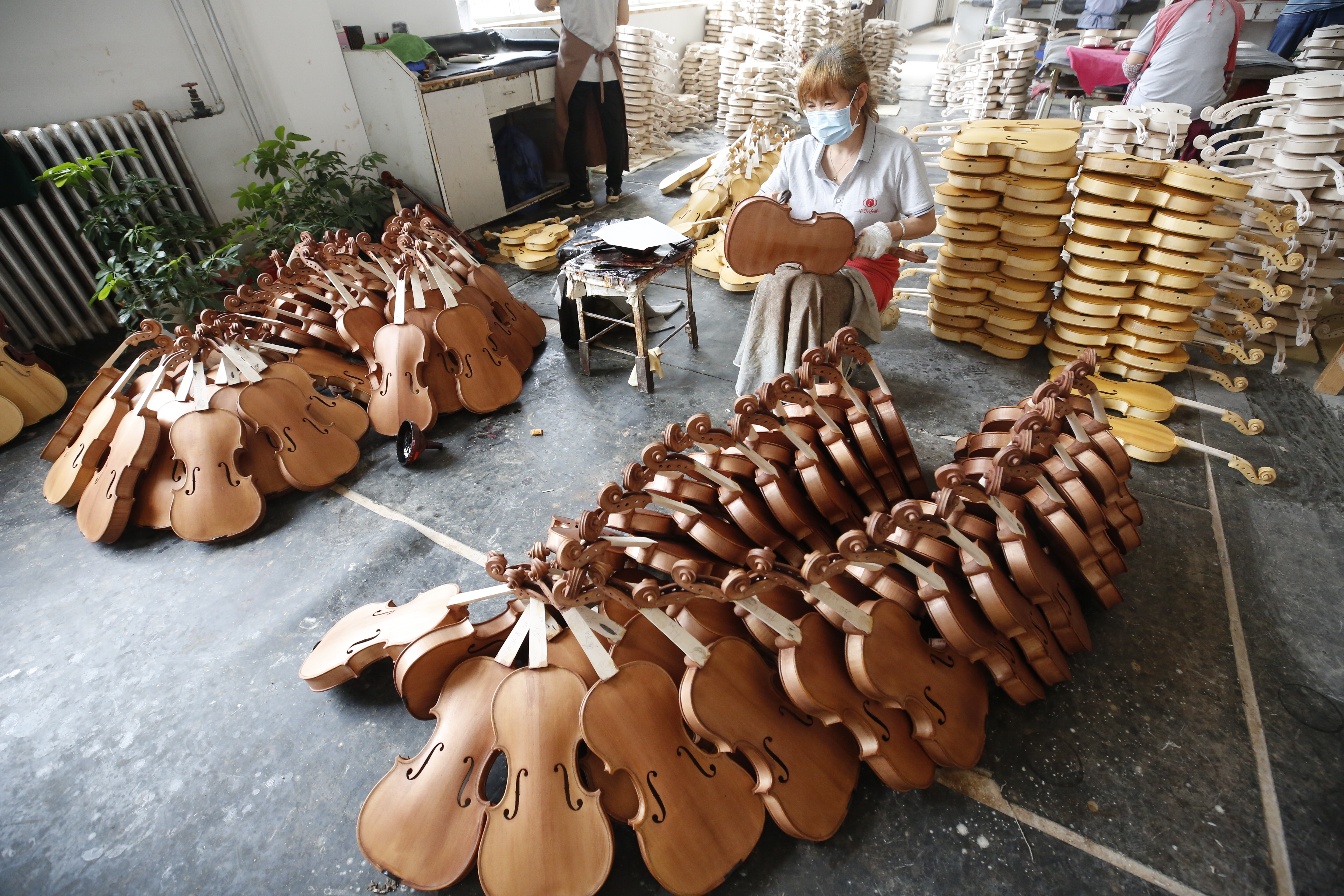 平谷区东高村镇第九届欧李节开幕 高钙欧李采摘正当时