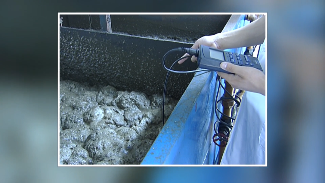 “改造”污水20年，他将清水送进千家万户