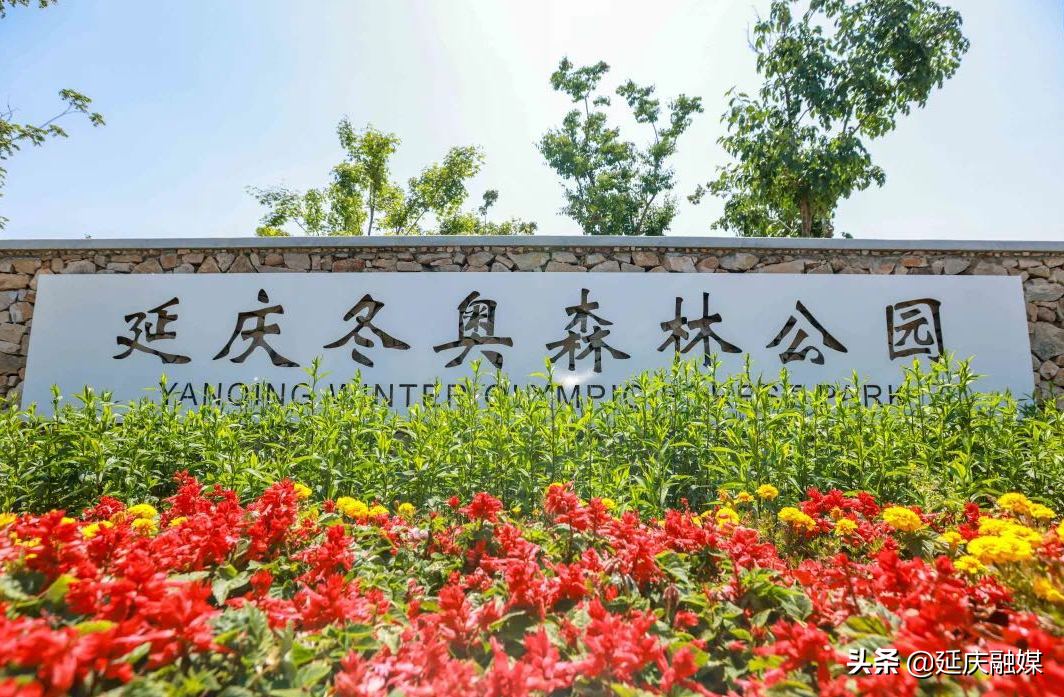 山清水秀阳光媚~延庆赛区用秀美环境面貌喜迎冬奥盛会！