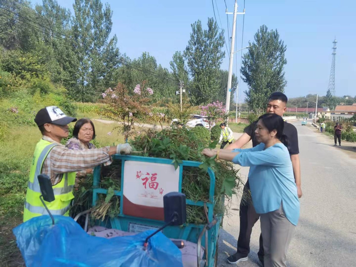 密云区太师屯镇：村村组织护环境 人人参与搞卫生