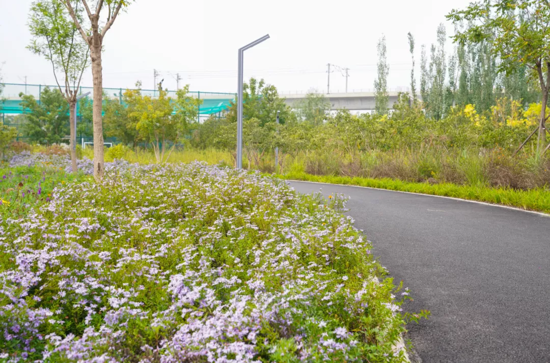 就在明天！衙门口城市森林公园正式开园！又多一个好去处~