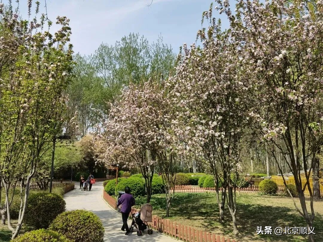 【创城有我】创城画卷，城优景美~