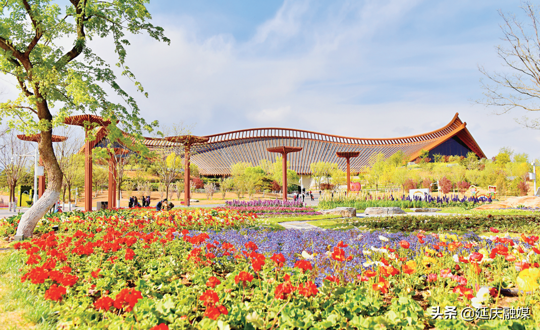 世园会两周年丨延庆区紧抓绿色发展机遇 助推园艺产业发展新动能