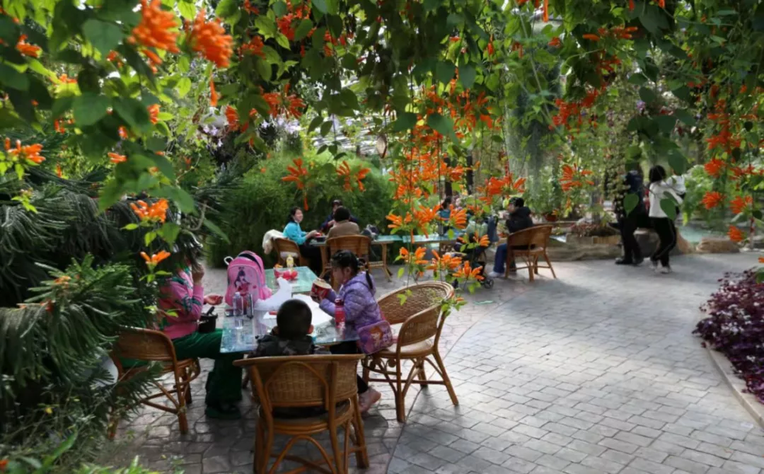 圆梦庆冬奥 正月游丰台——2022丰台正月文化旅游系列活动