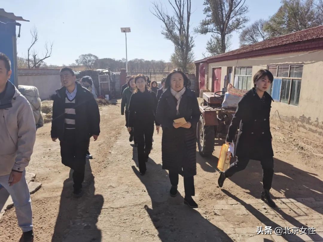 小康路上的巾帼力量丨北京市妇联扎实推进对口帮扶内蒙古自治区行动计划