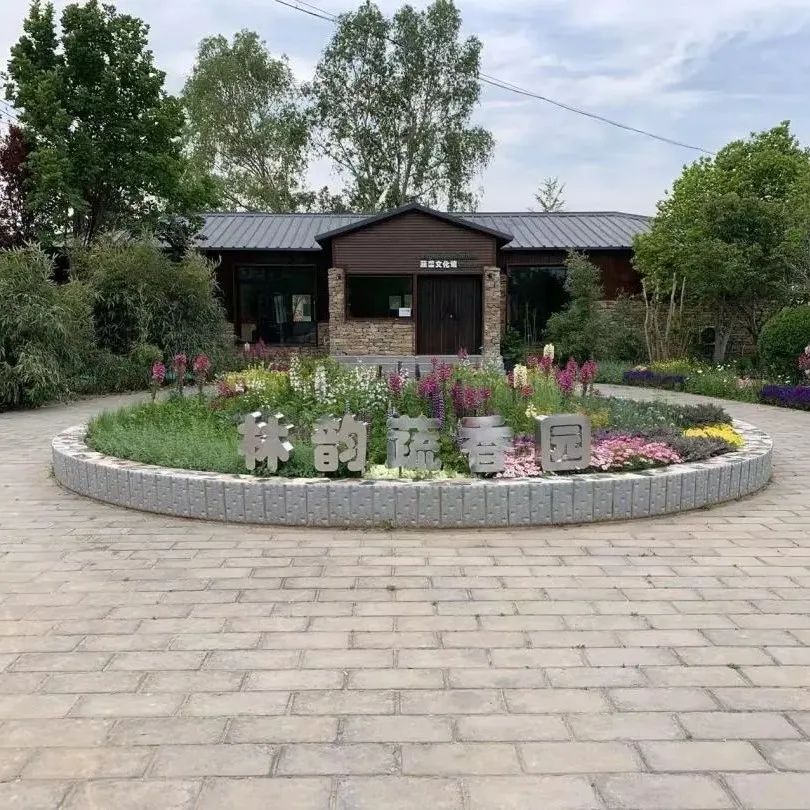 这个蔬艺园，成为推动村庄产业发展的新亮点