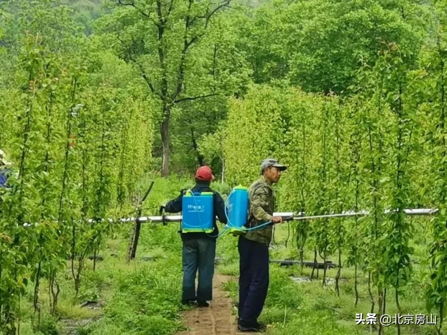 档案见证小康路，回顾房山脱低攻坚路上的光辉事迹！