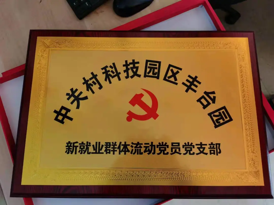 丰台园新就业群体流动党员党支部成立