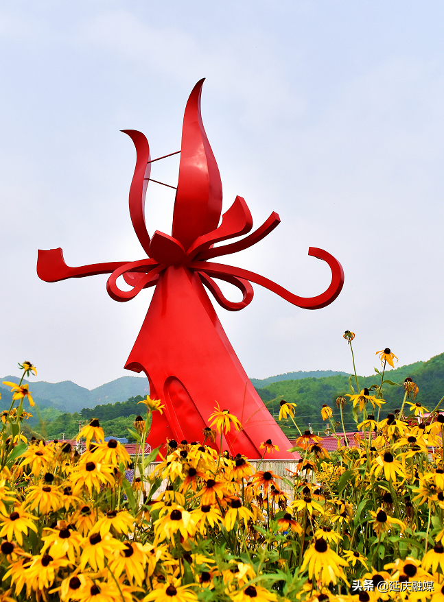 万万没想到！延庆的花海如此锦绣斑斓，简直美醉~