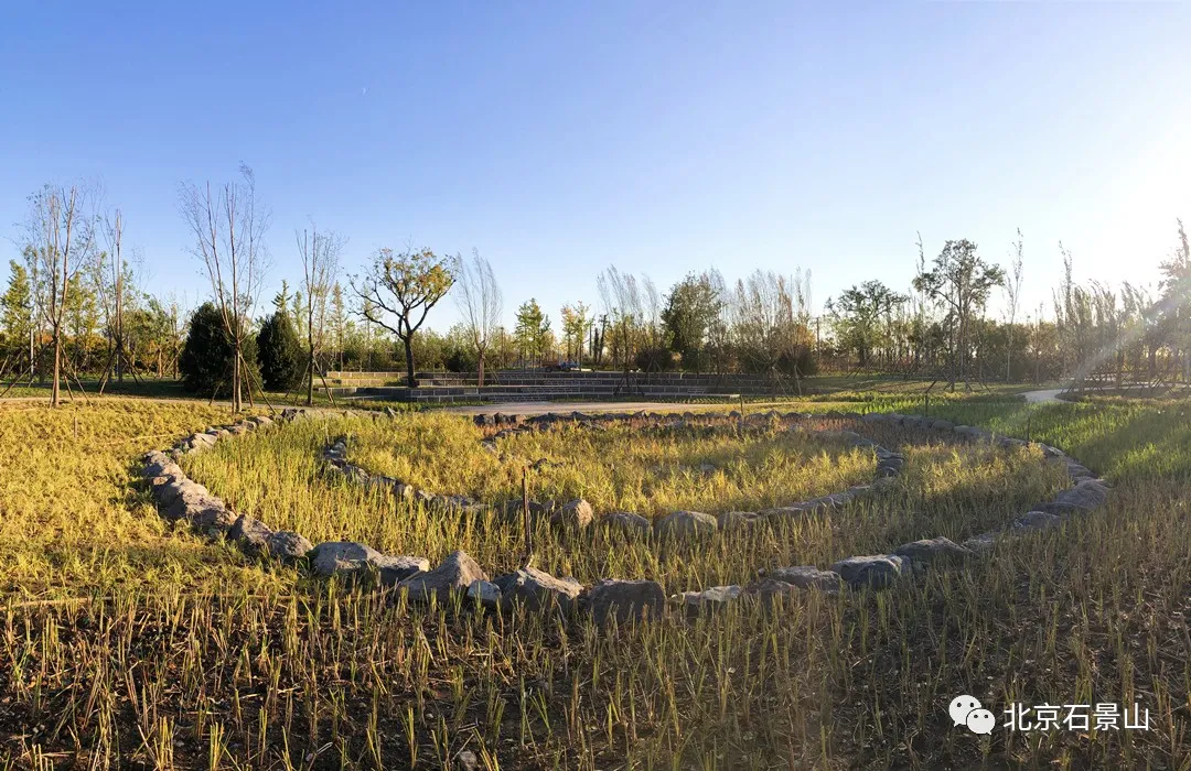 衙门口城市森林公园：京西最大规模的留白增绿片区