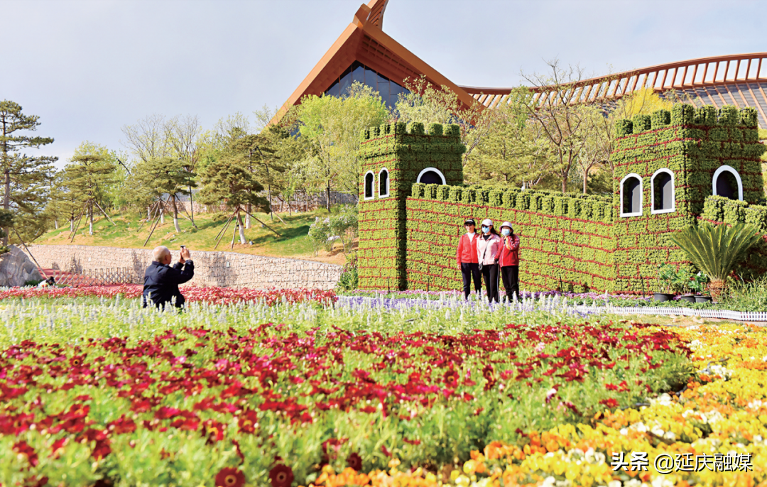 世园会两周年丨延庆区紧抓绿色发展机遇 助推园艺产业发展新动能