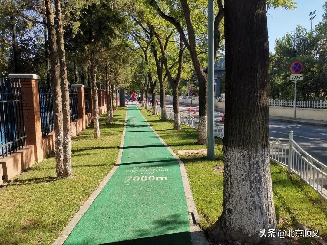 【创城有我】顺义区城管理委“三大行动”助创城惠民生！